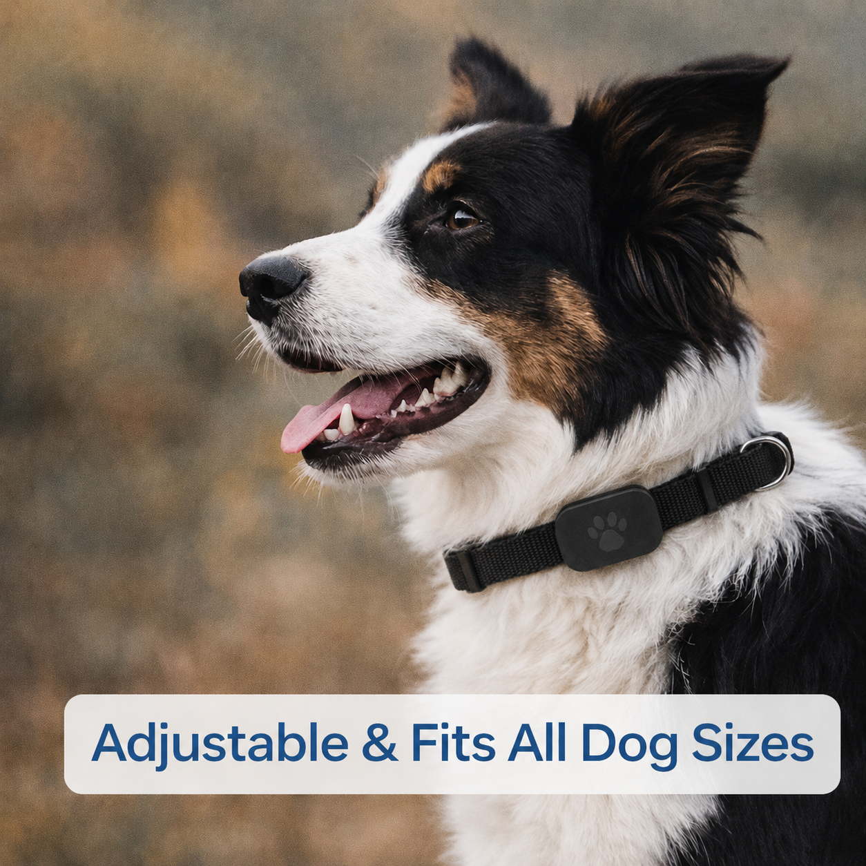 OffLeash GPS™